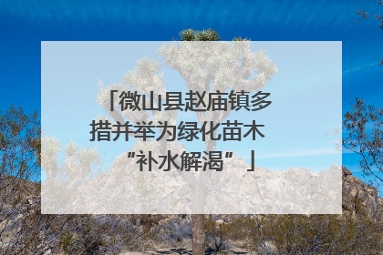 微山县赵庙镇多措并举为绿化苗木“补水解渴”