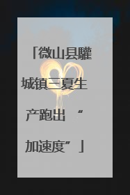 微山县驩城镇三夏生产跑出 “加速度”