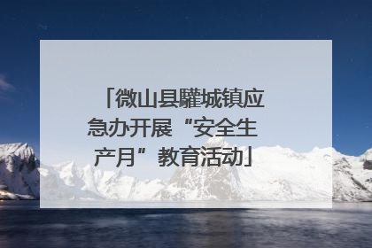 微山县驩城镇应急办开展“安全生产月”教育活动