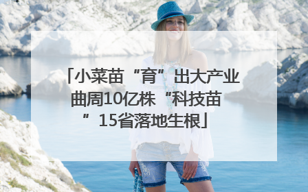 小菜苗“育”出大产业 曲周10亿株“科技苗”15省落地生根