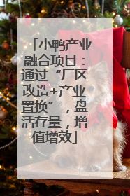 小鸭产业融合项目：通过“厂区改造+产业置换”，盘活存量，增值增效