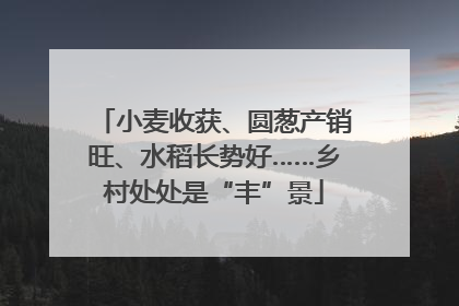 小麦收获、圆葱产销旺、水稻长势好……乡村处处是“丰”景