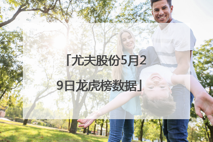 尤夫股份5月29日龙虎榜数据