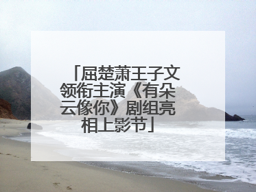 屈楚萧王子文领衔主演《有朵云像你》剧组亮相上影节