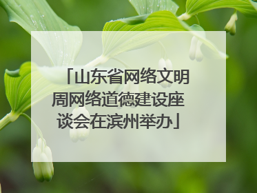 山东省网络文明周网络道德建设座谈会在滨州举办