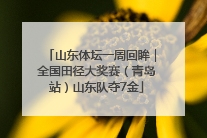山东体坛一周回眸｜全国田径大奖赛（青岛站）山东队夺7金