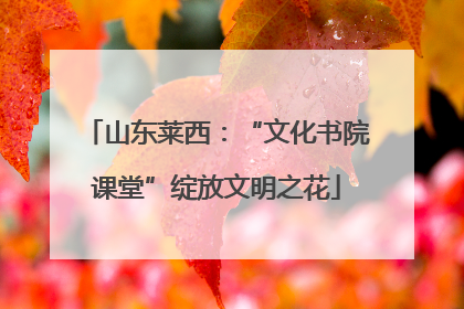 山东莱西：“文化书院课堂”绽放文明之花
