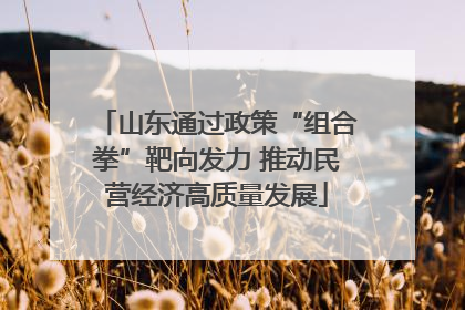 山东通过政策“组合拳”靶向发力 推动民营经济高质量发展
