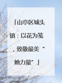 山亭区城头镇：以花为笺，致敬最美“她力量”