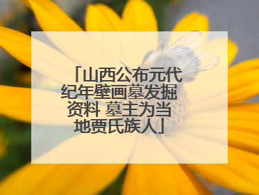 山西公布元代纪年壁画墓发掘资料 墓主为当地贾氏族人