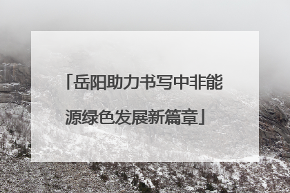 岳阳助力书写中非能源绿色发展新篇章