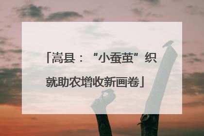 嵩县：“小蚕茧”织就助农增收新画卷