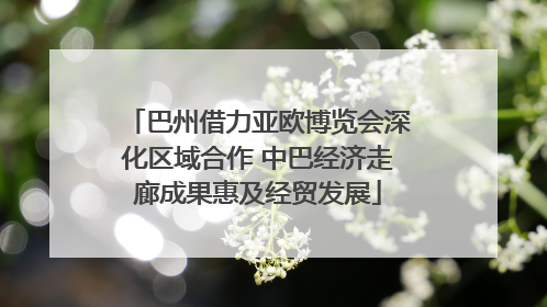 巴州借力亚欧博览会深化区域合作 中巴经济走廊成果惠及经贸发展
