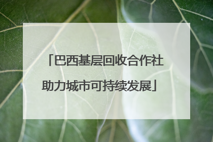 巴西基层回收合作社助力城市可持续发展