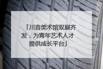 川音美术馆双展齐发，为青年艺术人才提供成长平台