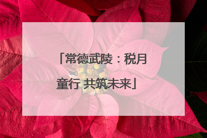 常德武陵：税月童行 共筑未来