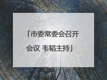 市委常委会召开会议 韦韬主持