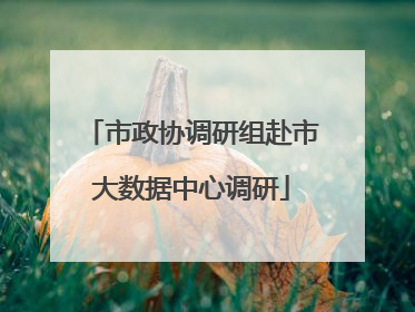 市政协调研组赴市大数据中心调研