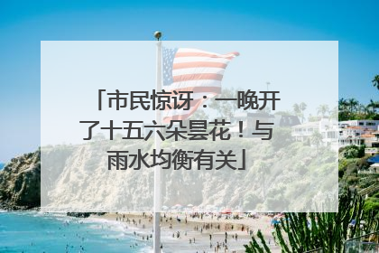 市民惊讶：一晚开了十五六朵昙花！与雨水均衡有关
