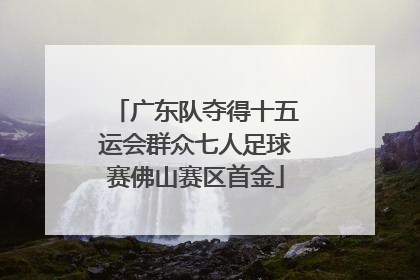 广东队夺得十五运会群众七人足球赛佛山赛区首金
