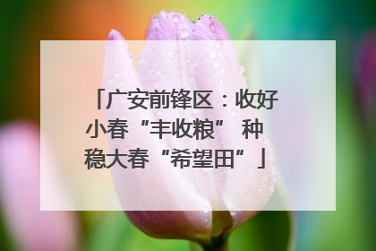 广安前锋区：收好小春“丰收粮” 种稳大春“希望田”