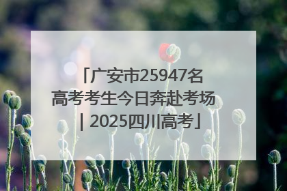 广安市25947名高考考生今日奔赴考场｜2025四川高考