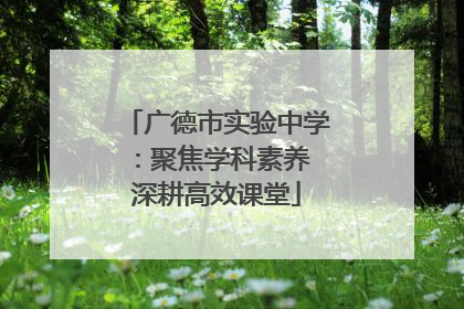 广德市实验中学：聚焦学科素养 深耕高效课堂
