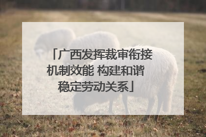 广西发挥裁审衔接机制效能 构建和谐稳定劳动关系