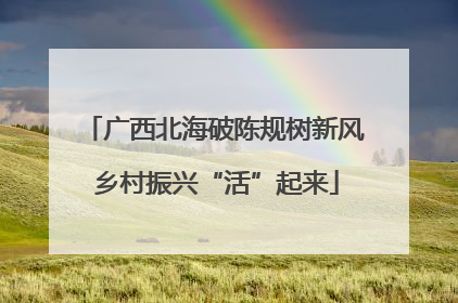 广西北海破陈规树新风 乡村振兴“活”起来