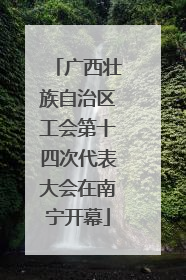 广西壮族自治区工会第十四次代表大会在南宁开幕