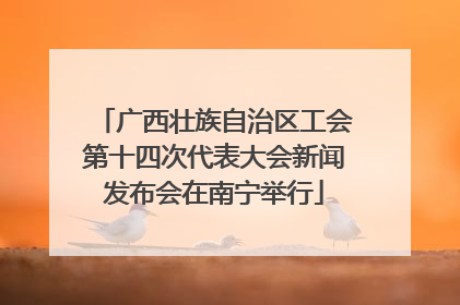 广西壮族自治区工会第十四次代表大会新闻发布会在南宁举行