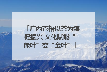 广西苍梧以茶为媒促振兴 文化赋能“绿叶”变“金叶”