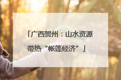 广西贺州：山水资源带热“帐篷经济”