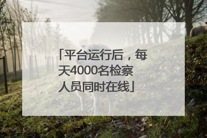 平台运行后，每天4000名检察人员同时在线