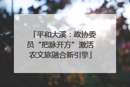 平和大溪：政协委员“把脉开方”激活农文旅融合新引擎