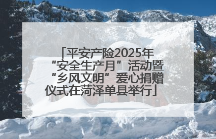 平安产险2025年“安全生产月”活动暨“乡风文明”爱心捐赠仪式在菏泽单县举行