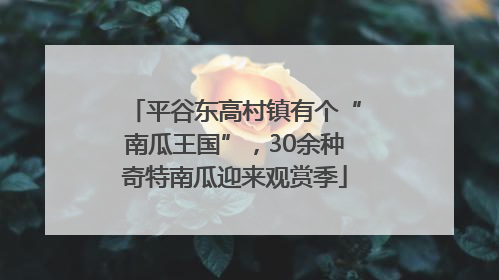 平谷东高村镇有个“南瓜王国”，30余种奇特南瓜迎来观赏季