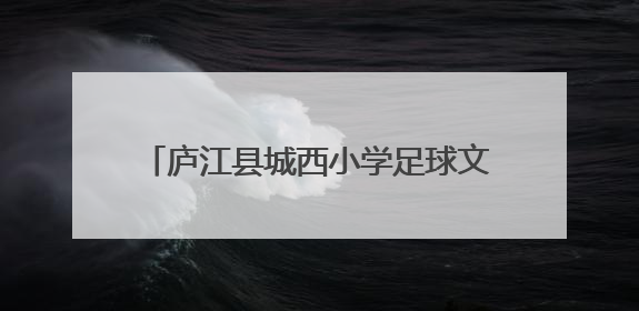 庐江县城西小学足球文化节系列活动精彩纷呈