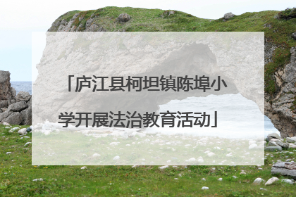 庐江县柯坦镇陈埠小学开展法治教育活动