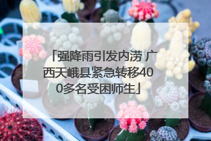 强降雨引发内涝 广西天峨县紧急转移400多名受困师生