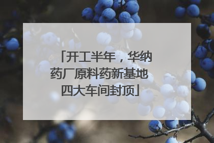 开工半年，华纳药厂原料药新基地四大车间封顶