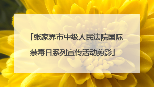 张家界市中级人民法院国际禁毒日系列宣传活动剪影