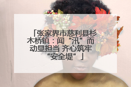 张家界市慈利县杉木桥镇：闻“汛”而动显担当 齐心筑牢“安全堤”