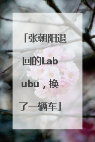 张朝阳退回的Labubu，换了一辆车
