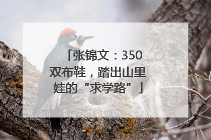 张锦文：350双布鞋，踏出山里娃的“求学路”