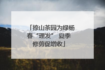 捺山茶园为绿杨春“理发” 夏季修剪促增收