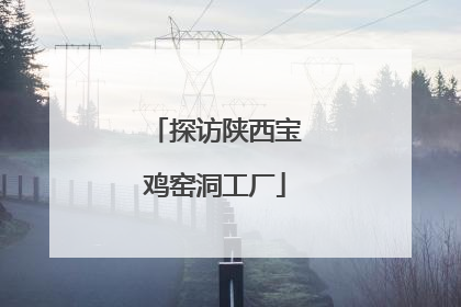 探访陕西宝鸡窑洞工厂