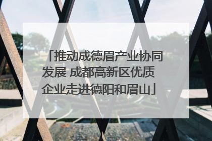 推动成德眉产业协同发展 成都高新区优质企业走进德阳和眉山