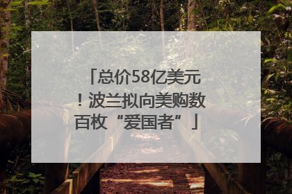 总价58亿美元！波兰拟向美购数百枚“爱国者”