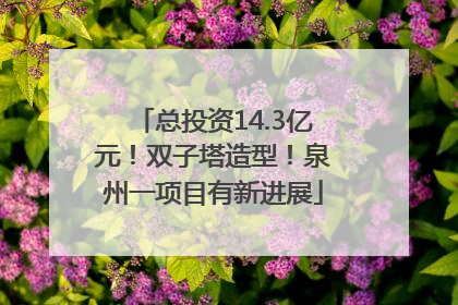 总投资14.3亿元！双子塔造型！泉州一项目有新进展
